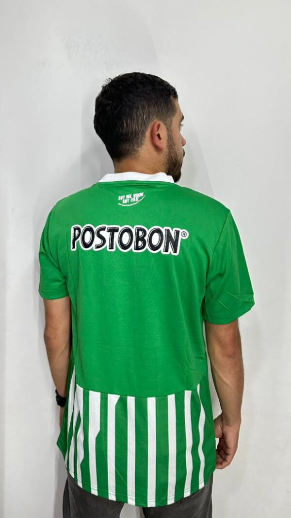 Camiseta 2013
