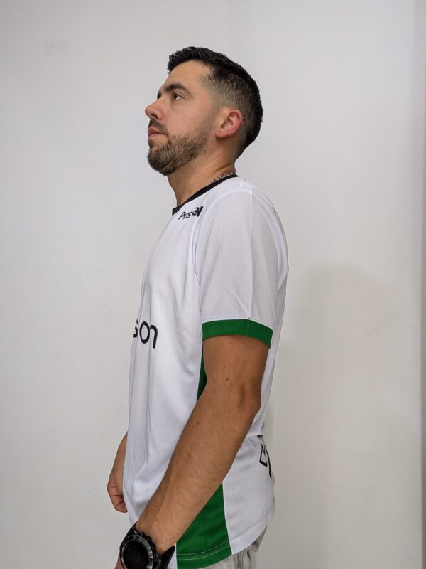 Visitantes 2026 Versión Jugador 1.1