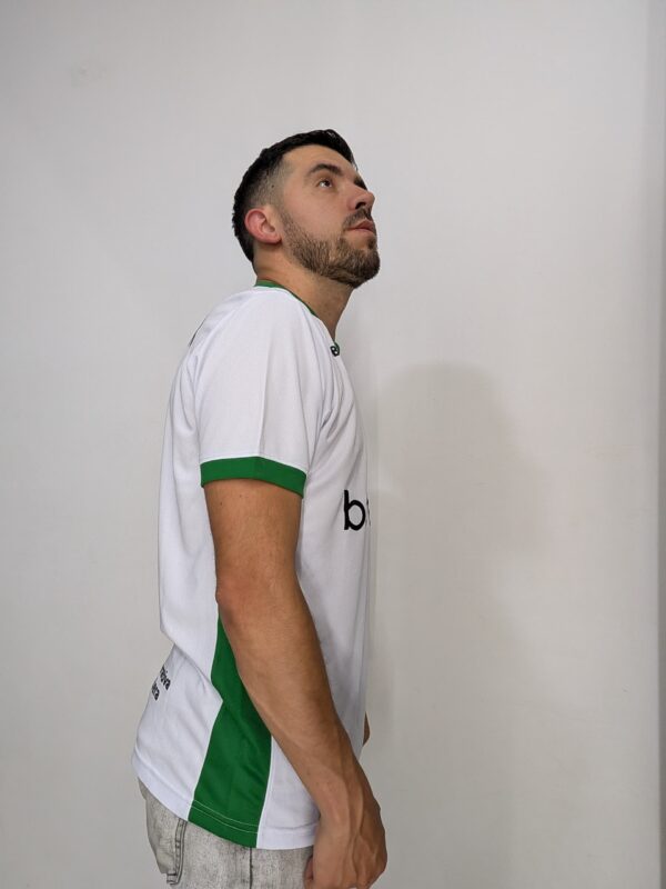 Visitantes 2026 Versión Jugador 1.1