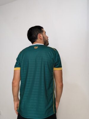 Camiseta Chapecoense 1.1 Versión Jugador (Sin patrocinio)