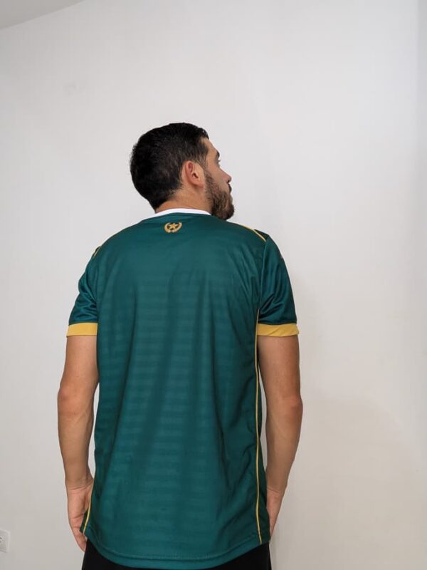 Camiseta Chapecoense 1.1 Versión Jugador (Sin patrocinio)