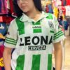 CAMISETA DAMA LEONA